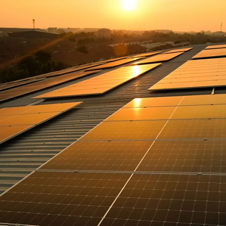 Sunset solar panel electric clean energy to the future. Solar panels on the meadow, sunset reflected on solar panel on rooftop. Green energy concept